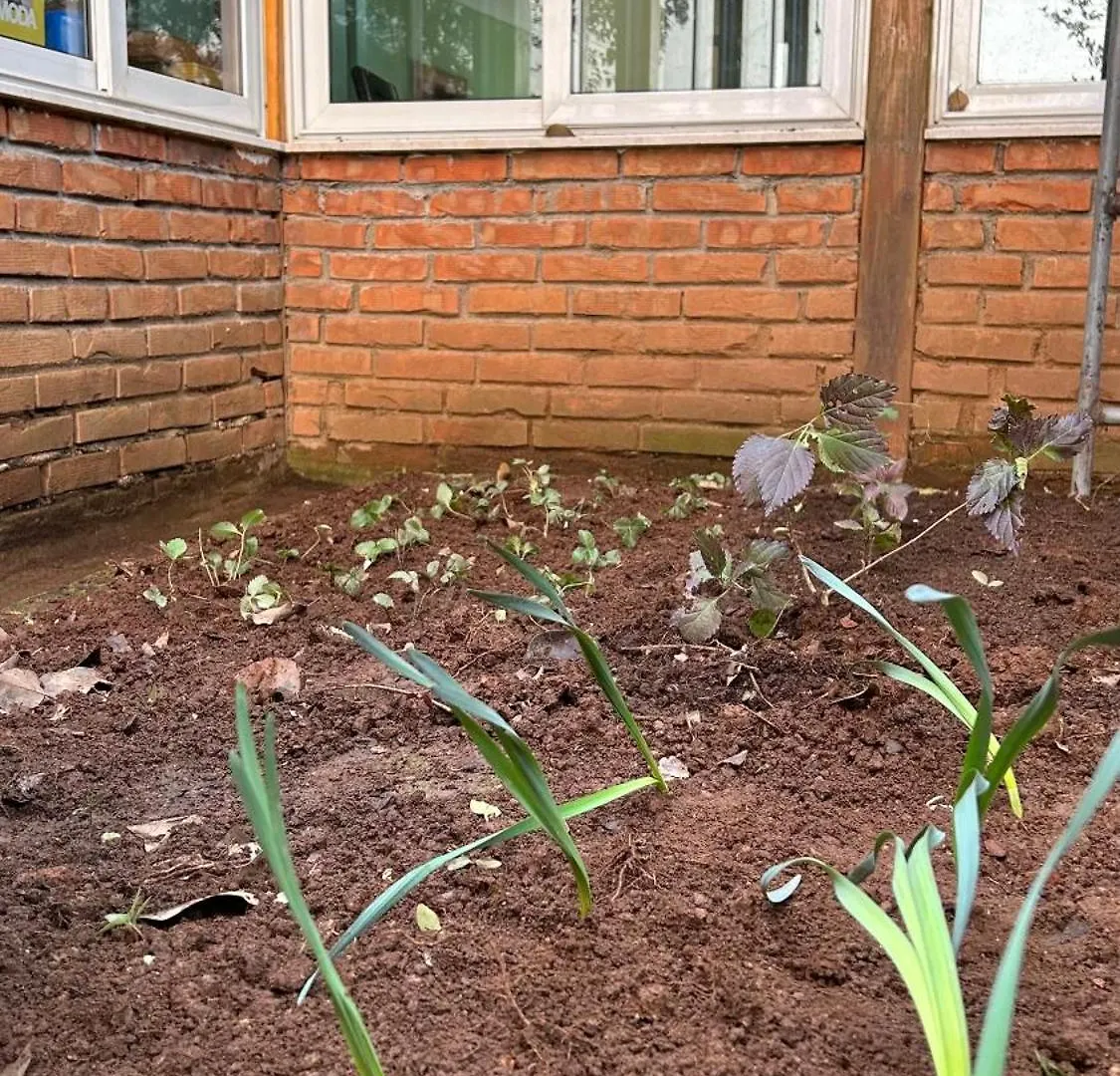 The Secret Garden Inn Hostel Tirana
